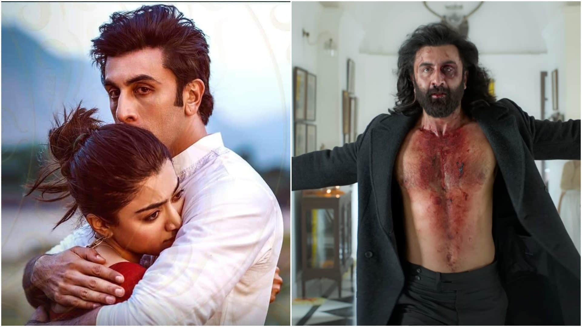 Animal Day 14 Box office Collection collects more than 100 cr in second week Jawan Pathaan Gadar 2