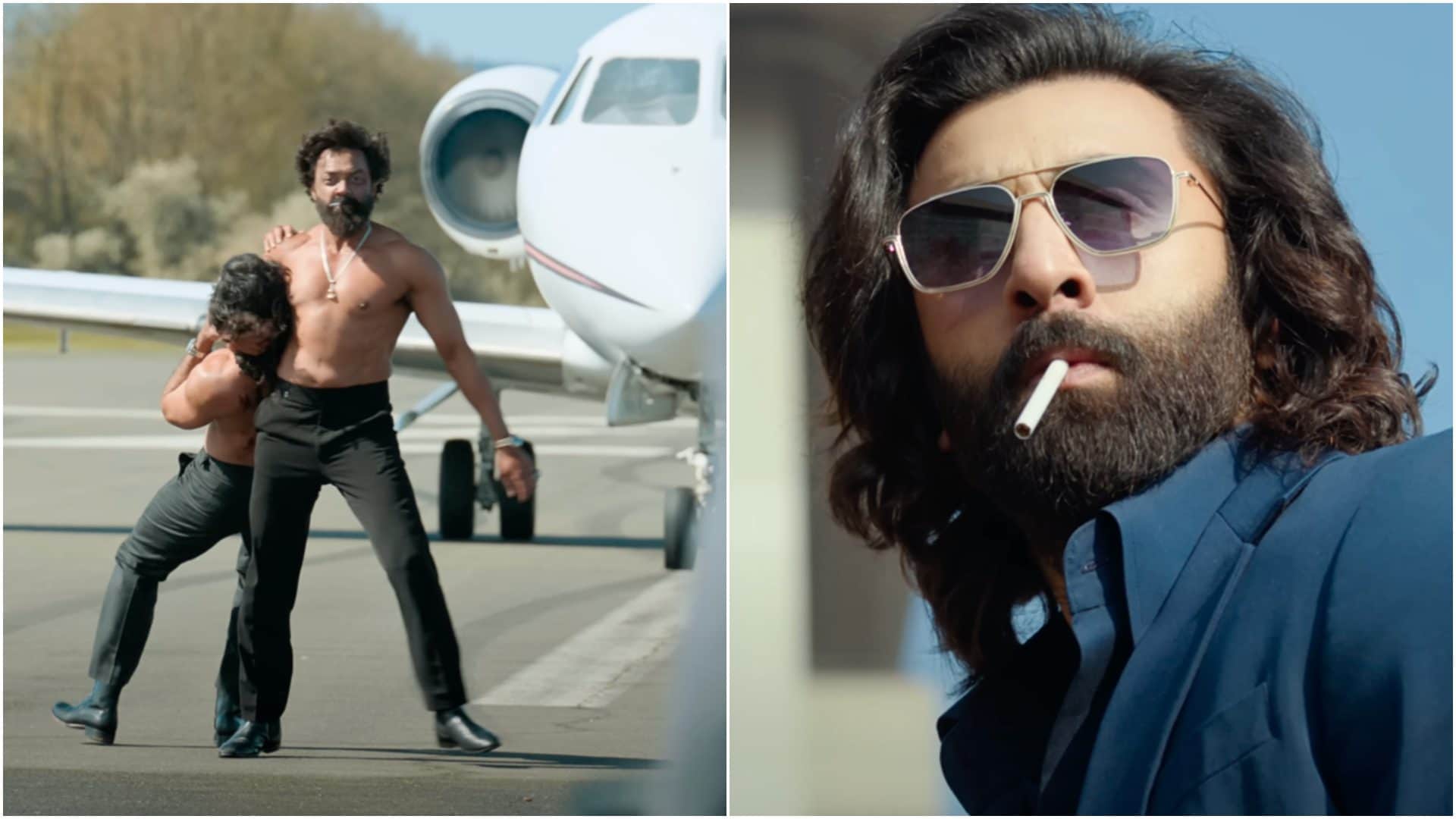 Tuesday Box Office Report Ranbir Kapoor starrer Animal And Vicky Kaushal Film Sam Bahadur Day 19 Collection