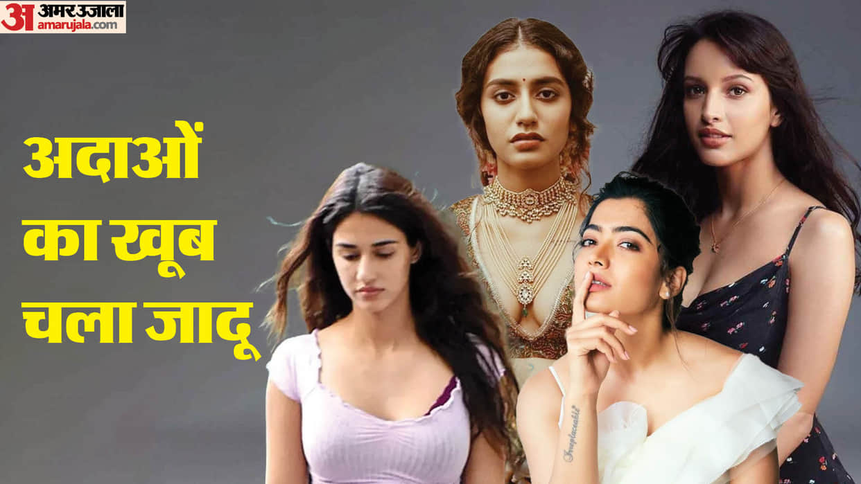 Actresses who Got Tag of National Crush Animal actress Triptii Dimri Rashmika Mandanna Priya Prakash Varrier