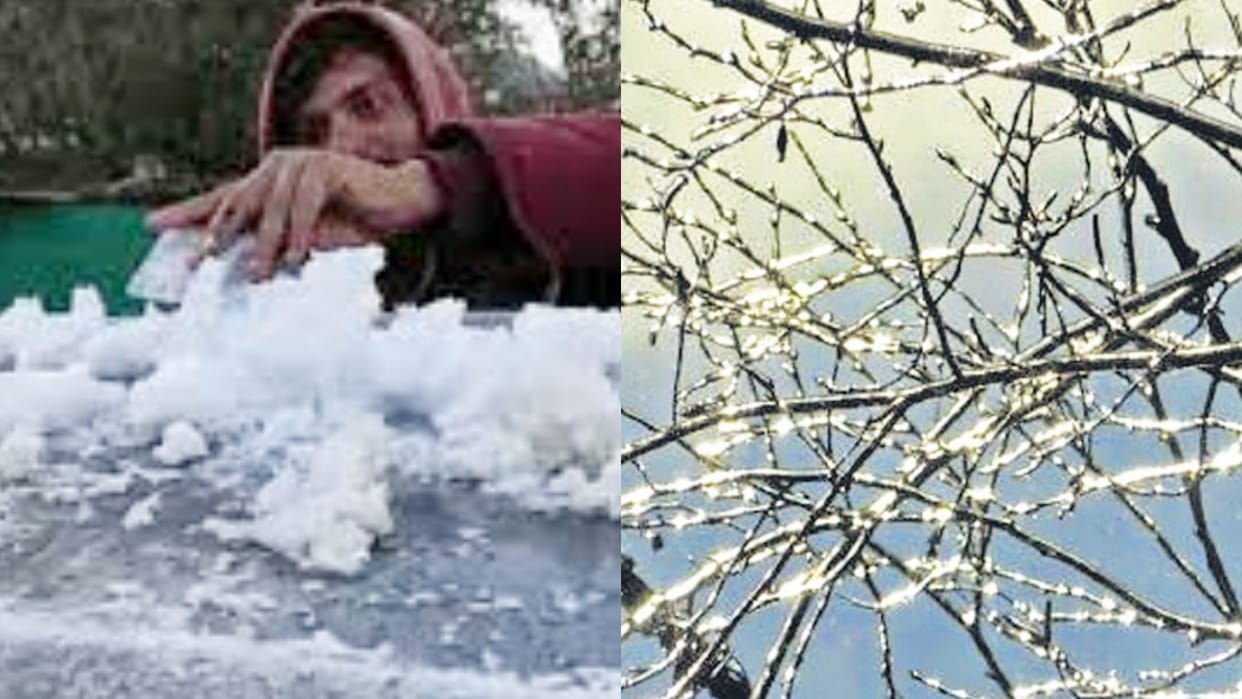 Rajasthan Weather Snow frozen in Mount Abu amid harsh winter mercury reaches minus