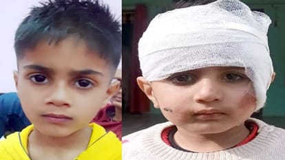 संभल में दर्दनाक हादसा: स्कूल जा रहे भाइयों को ट्रैक्टर ने रौंदा, एलकेजी के छात्र की मौत, छोटा भाई घायल Sambhal: Tractor crushes brothers going to school, LKG student dies, younger brother injured
