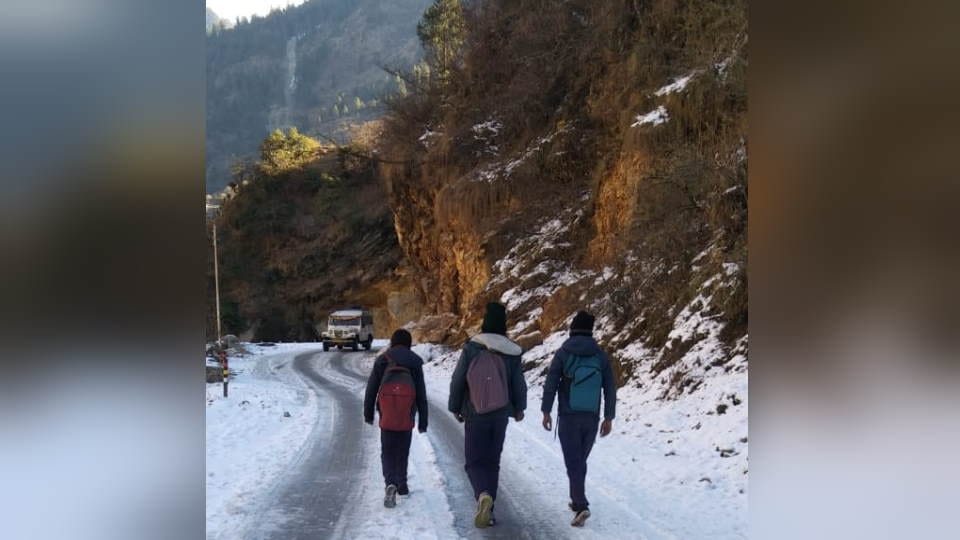 Uttarakhand Weather Update Frost Frozen on many Places of Hilly Area Yellow Alert