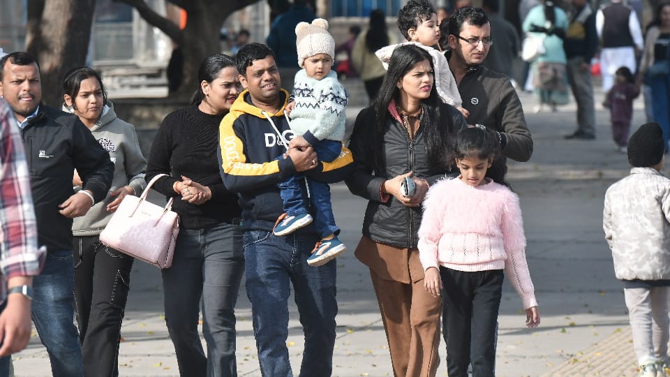 Cold Wave in Chandigarh, weather update news