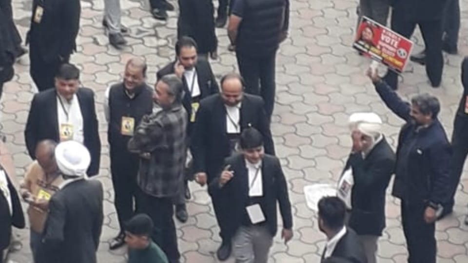 Voting for Chandigarh Bar Association elections today all update news