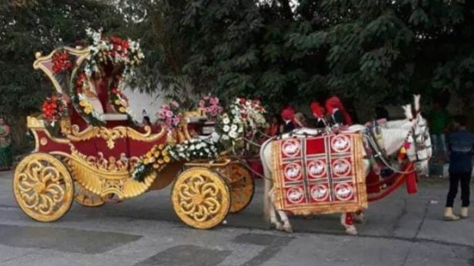 Not single horse cart is registered in Municipal Corporation in Mathura