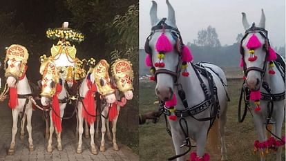 Uttarakhand News horses and carriages Craze of For Marriage Bombay to Goa and Bahubali