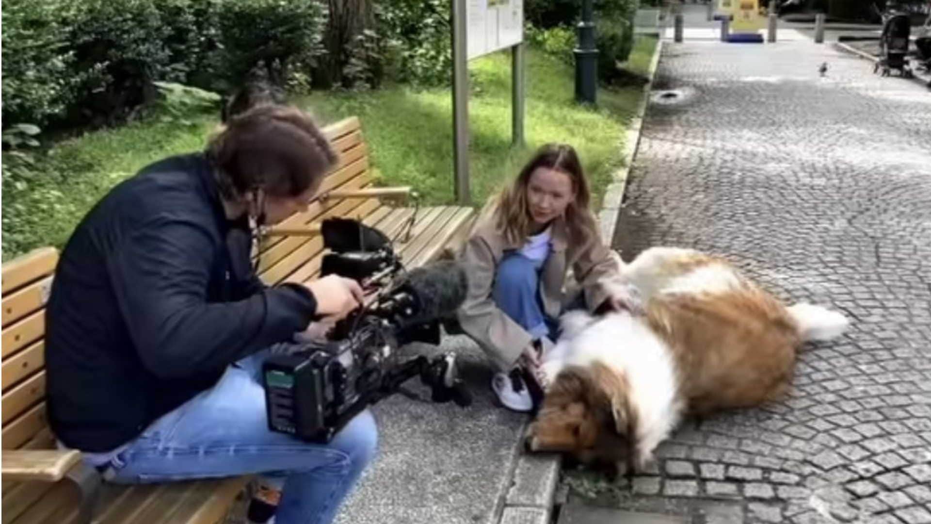 Japanese man Toco has transformed himself into a dog