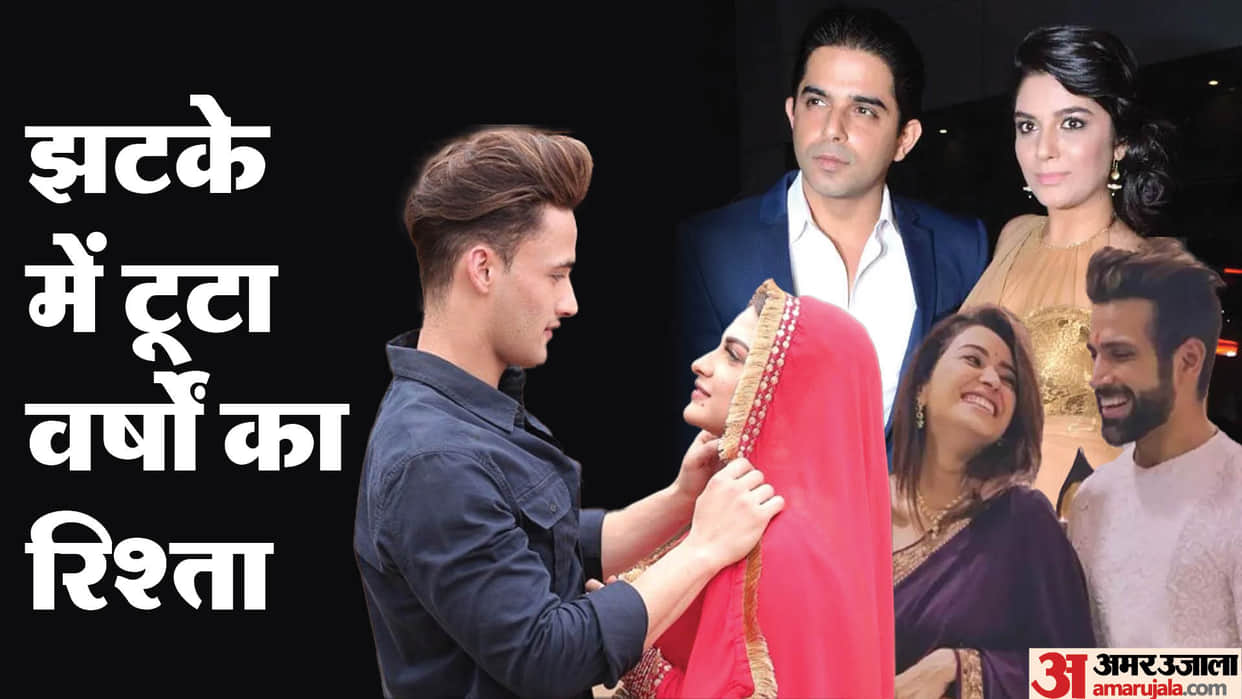 TV Stars Estranged After Many Years of Relationship Asim Riaz Himanshi Khurrana Punish Sharma