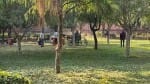 ताजमहल पर कर्मचारियों की करतूत