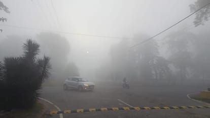 Punjab Weather:धुंध में कार पलटने से लेफ्टिनेंट कर्नल की मौत, चार दिन यलो अलर्ट, पारा 1.3 डिग्री तक गिरा – Punjab Weather: Yellow Alert For Four Days Of Fog