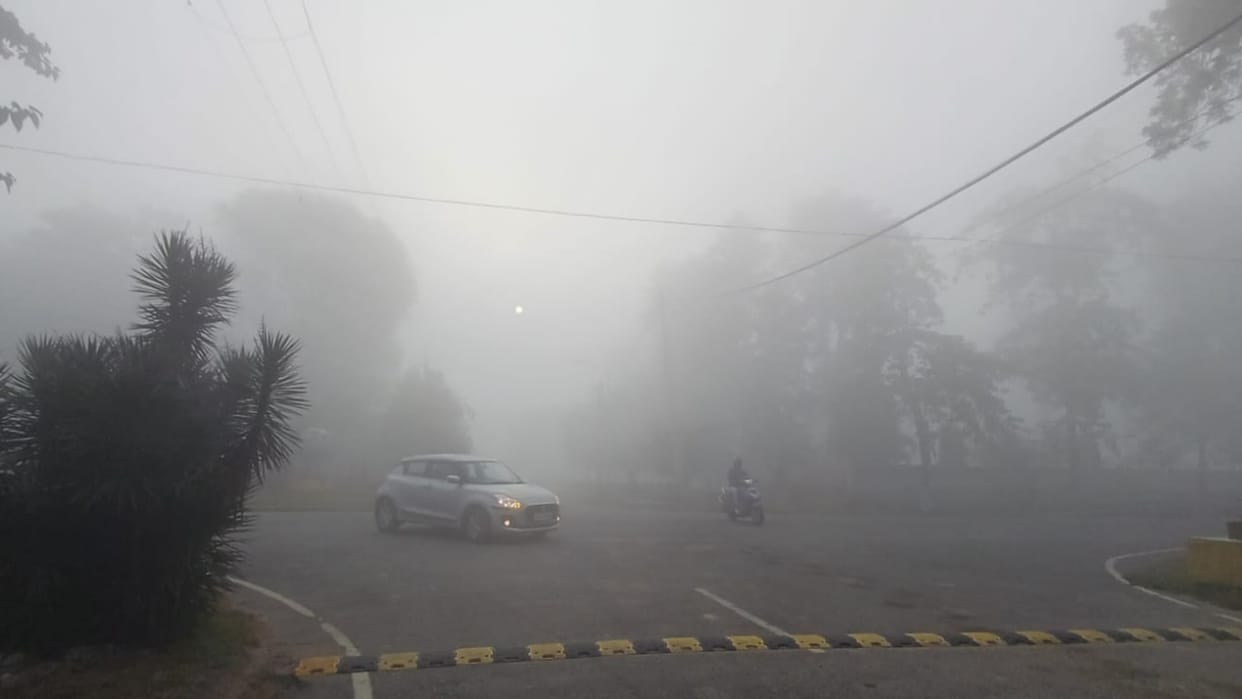 Punjab Weather: Yellow alert for four days of fog
