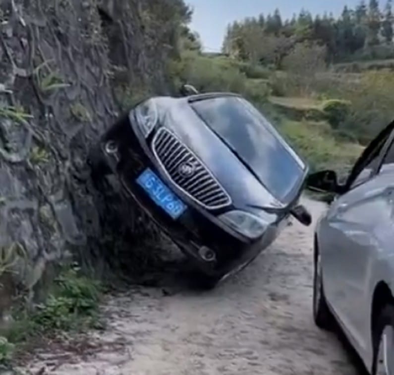 Anand Mahindra shares man driving Car Viral Video