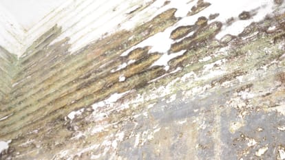 Condition of government schools in Bahraich.