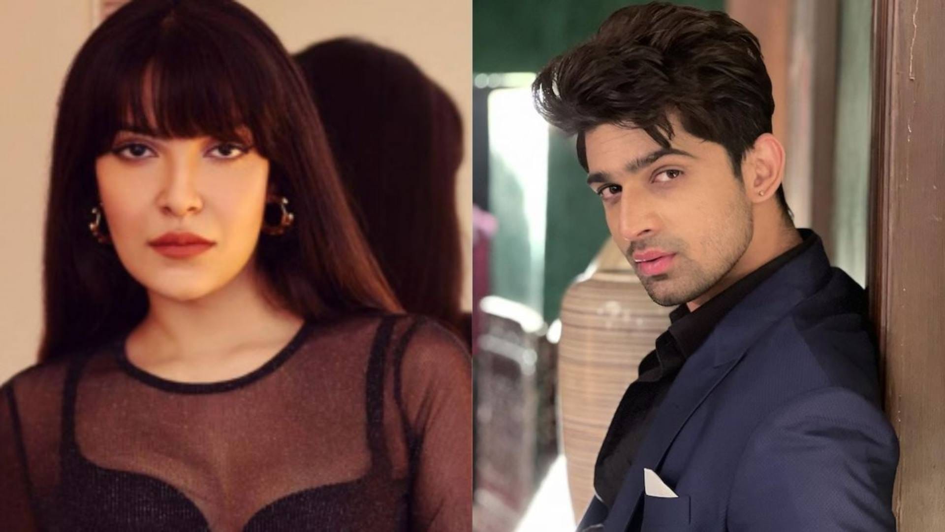 Bigg Boss 17 Firoza Khan aka Khanzaadi evicted from salman Khan show her departure hit Abhishek Kumar hardest