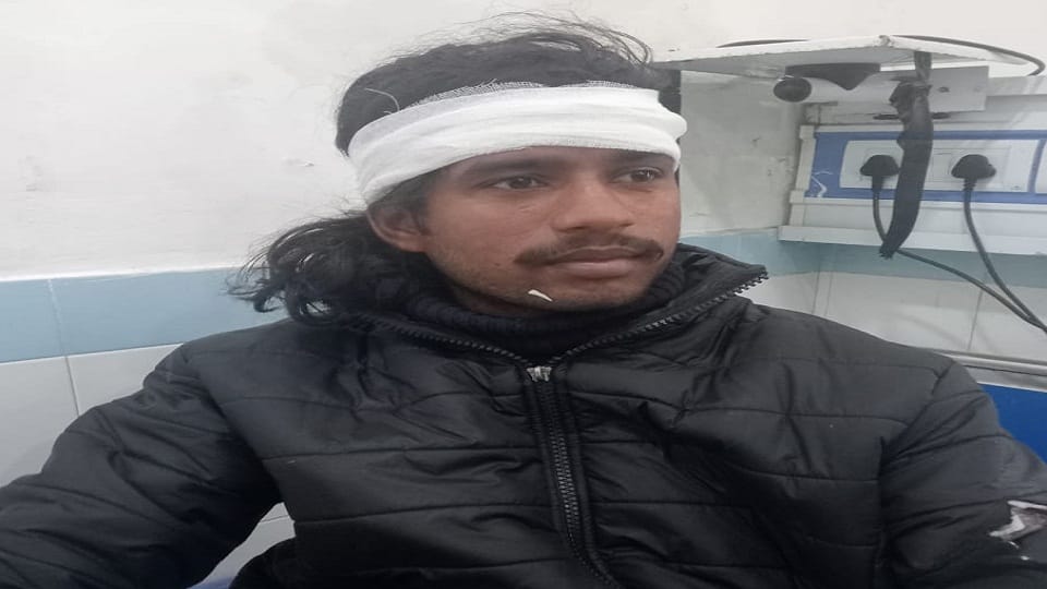 Tiger attacks two bike riding youth in ramnagar