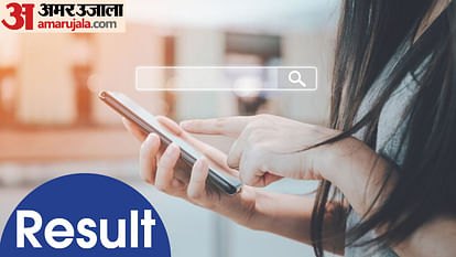 Maharashtra Talathi Bharti 2023 Result out at mahabhumi.gov.in; know how to download