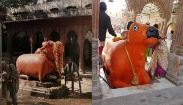 Gyanvapi Case: Another case regarding Gyanvapi, demand to place Nandi Maharaj in front of Mahadev.