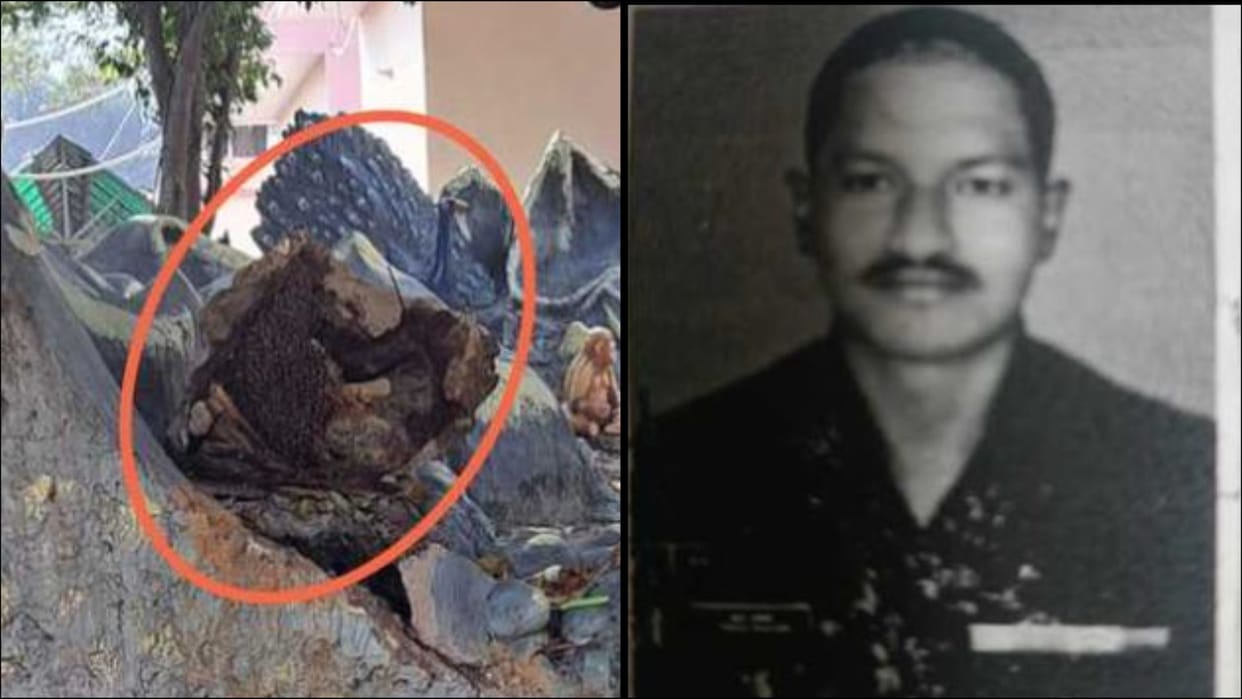 Ambala: Lance Naik dies in bee attack