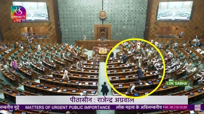 संसद सुरक्षा चूक मामला
