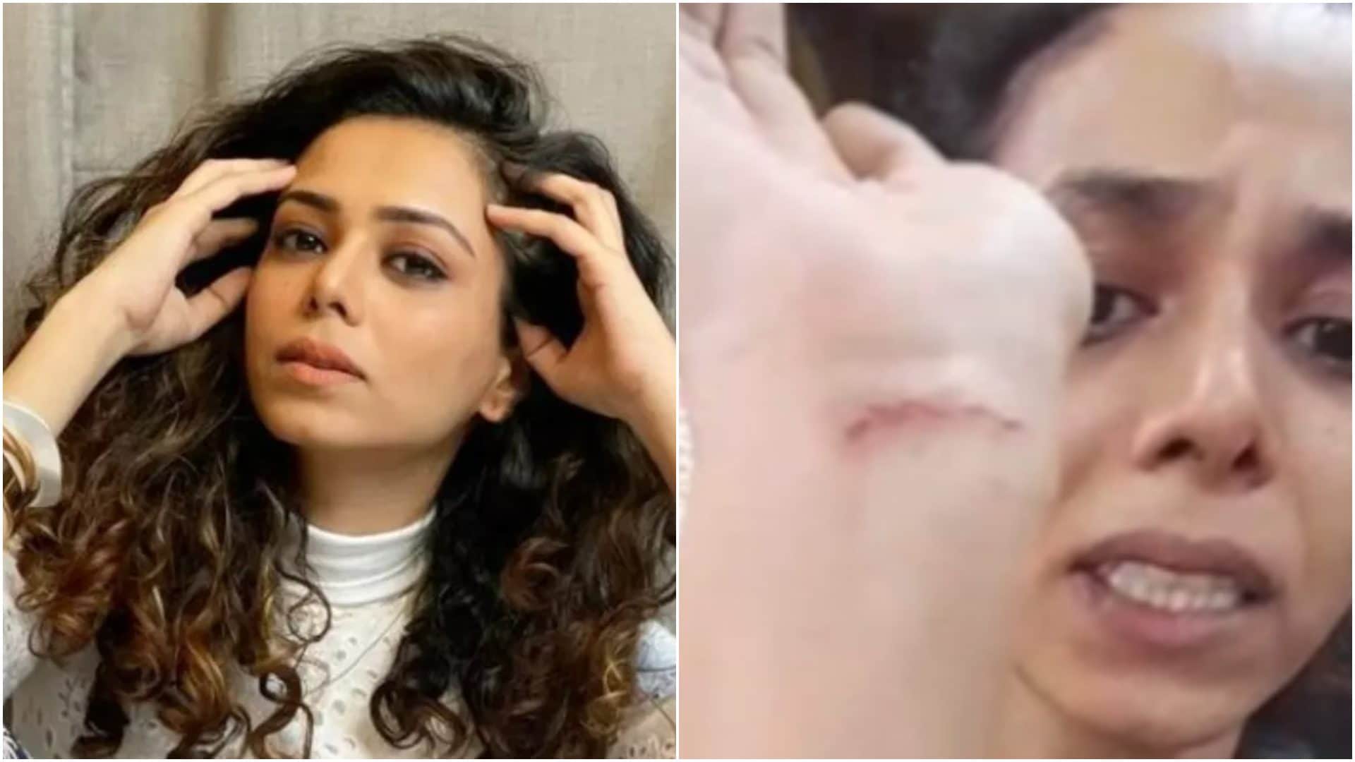 TV Stars who made allegations against the family Vikas Gupta Krushna Abhishek Shehnaz Gill Rashmi Desai