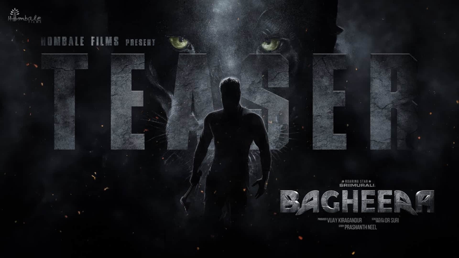 Top Five Big South Movies Will Released in Hindi This Year Pushpa 2 The Rule Bagheera