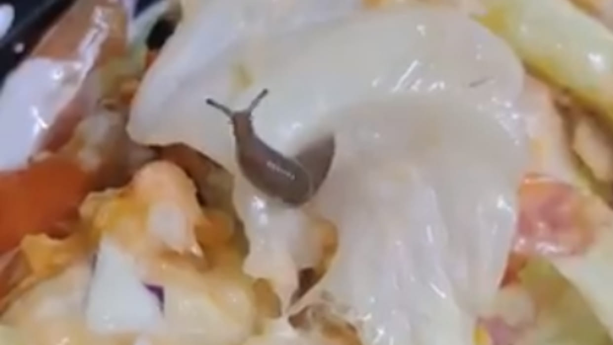 Man finds live snail in salad ordered online food app
