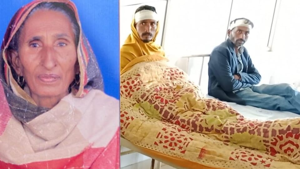 Woman died after hit by brick in fight with neighbors over DJ in Muktsar