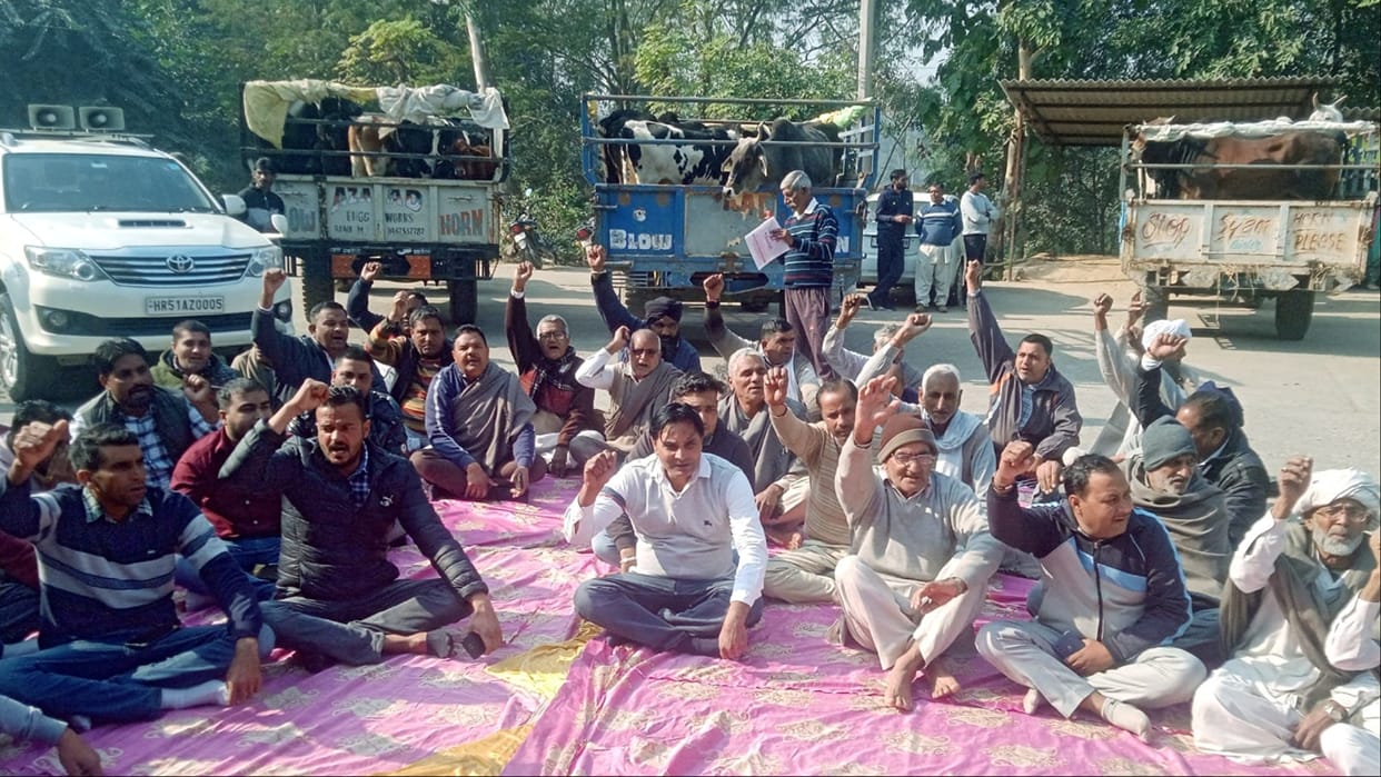Yamunanagar: Farmers reached Tehsil office with cattle in five trolleys