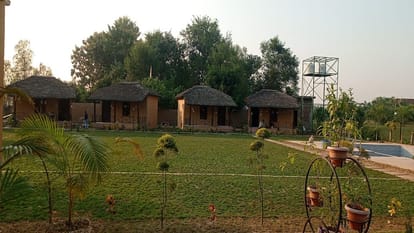 Guest house and hut full in Pilibhit Tiger Reserve celebrate New Year in home stay