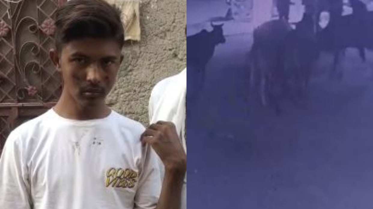 Rajasthan Five bulls attacked young man kept crushing him with their feet and horns in Nagaur