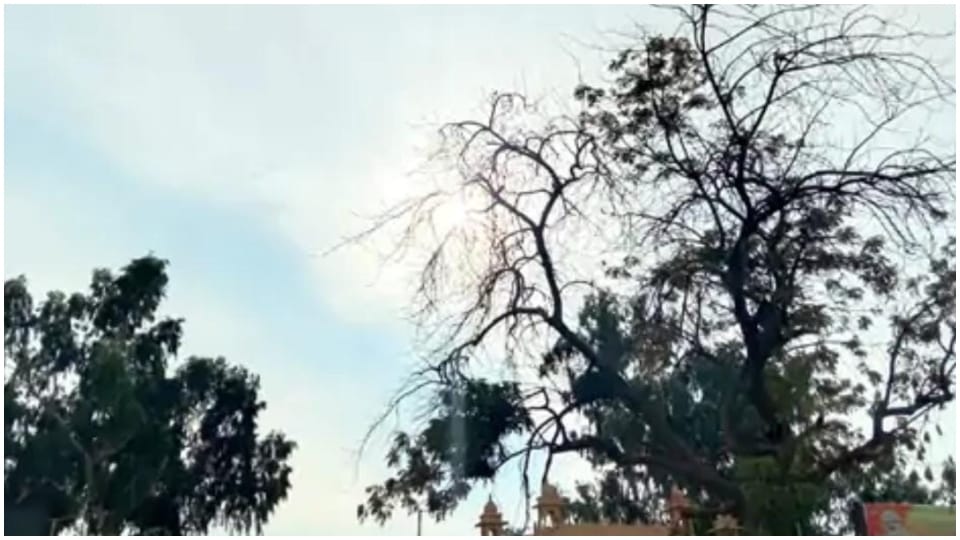 Big effect of winter in Jaisalmer drop in night temperature