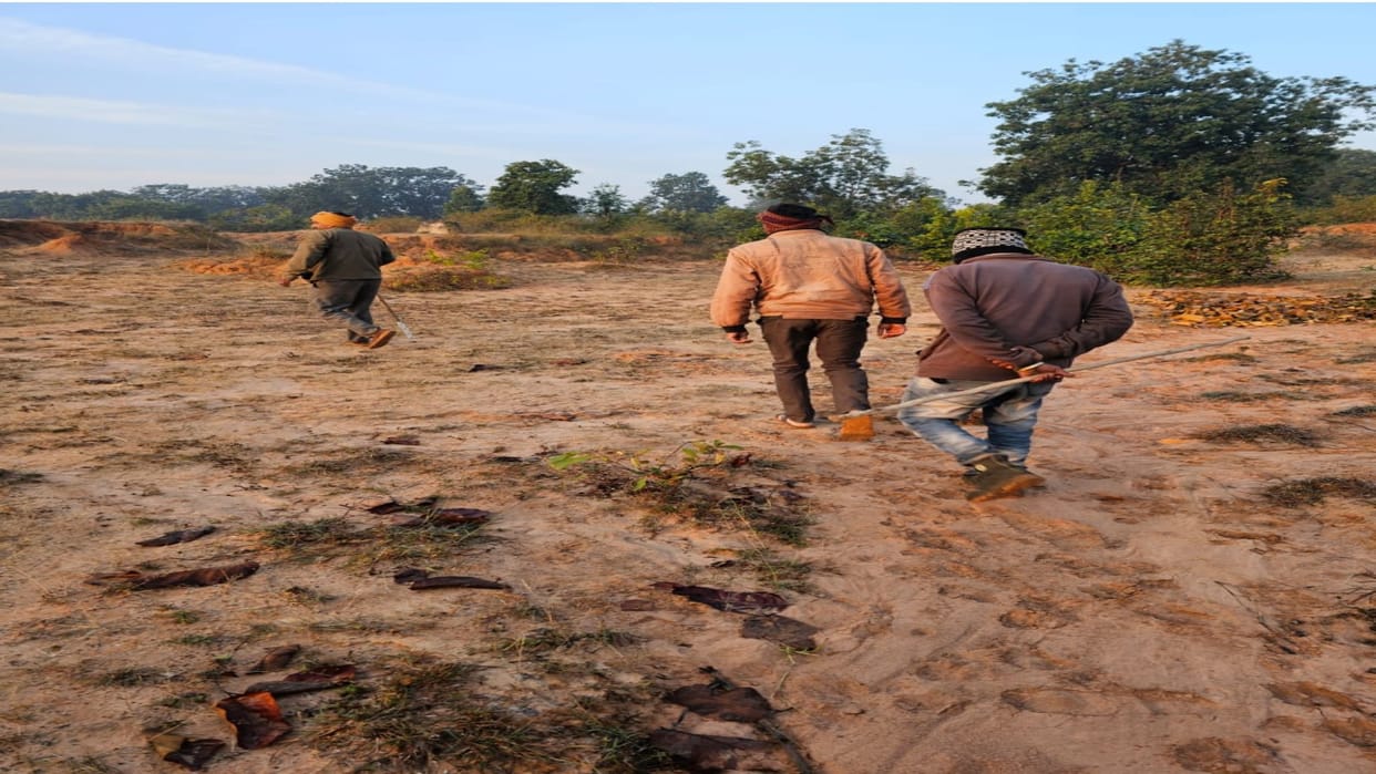 Phase four counting begins in Bandhavgarh Tiger Reserve