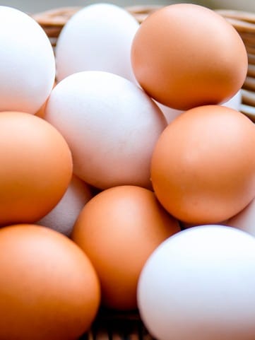 How To Identify Plastic and Fake Eggs Check here