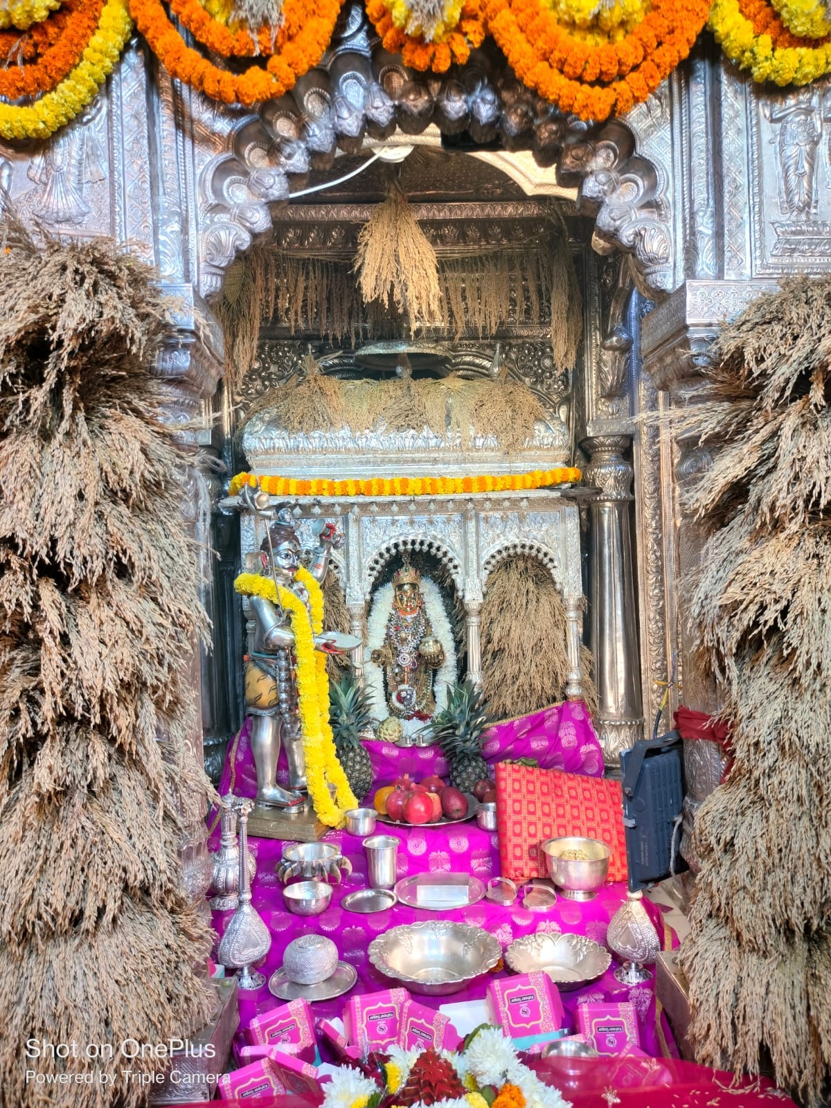 Maa Annapurna: Court of Maa Annapurna decorated with 21 quintals of paddy earrings, 17 day Mahavrat concluded