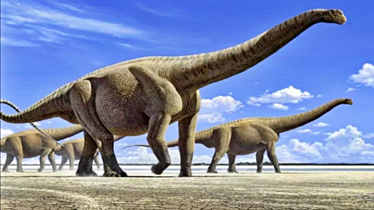 MP News People used to worship dinosaur egg in dhar