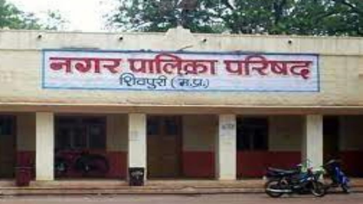 Shivpuri News 430 cases of name transfer pending in the municipality