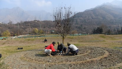 Tulip Garden Kashmir: 17 lakh tulip flowers will bloom in Jabrwan hills lap