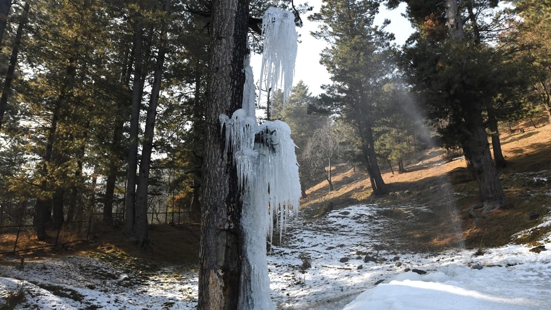 jammu kashmir weather: Kashmir 40 days harshest period of winter chillai kalan begins on december 21