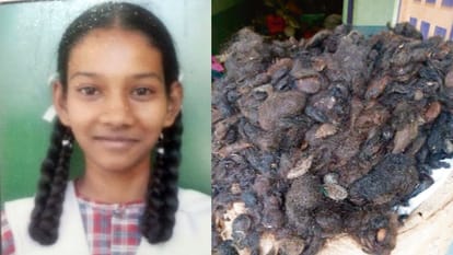 Sirmour News: अब बेकार बालों से बनाई जा सकेगी कंपोस्ट खाद, प्रयोग सफल, पानी का पीएच भी बदला Now compost can be made from waste hair experiment successful