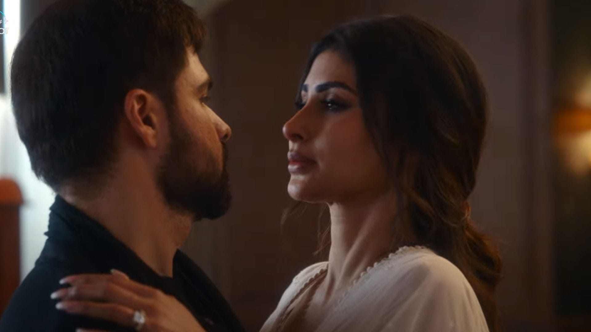 Karan Johar revealed First glimpse Emraan Hashmi Mouni Roy Naseeruddin Shah starrer Showtime know what about
