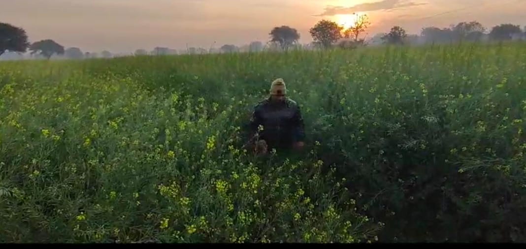 Bike riding miscreants snatched mobile phone and cash from young man In Dausa