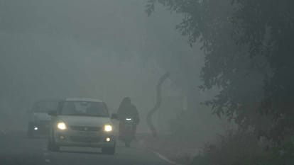 Meteorological Department Issues Alert Of Dense Fog For Three Days In Punjab – Amar Ujala Hindi News Live