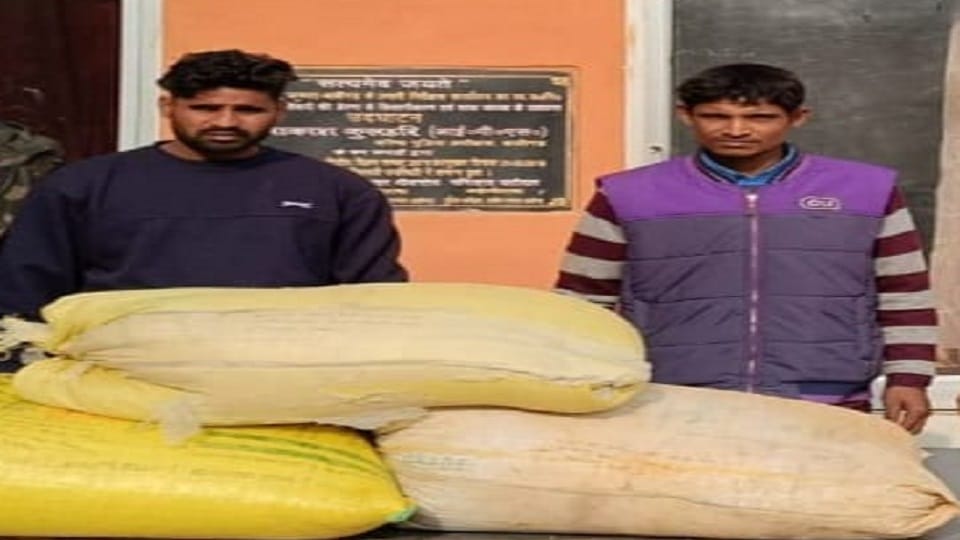 Went to Jaipur for son operation, grain stolen from home