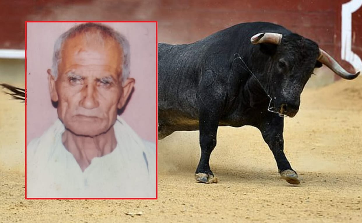 Farmer was guarding the crops, he was beaten to death by a bull, second death due to attack in three days