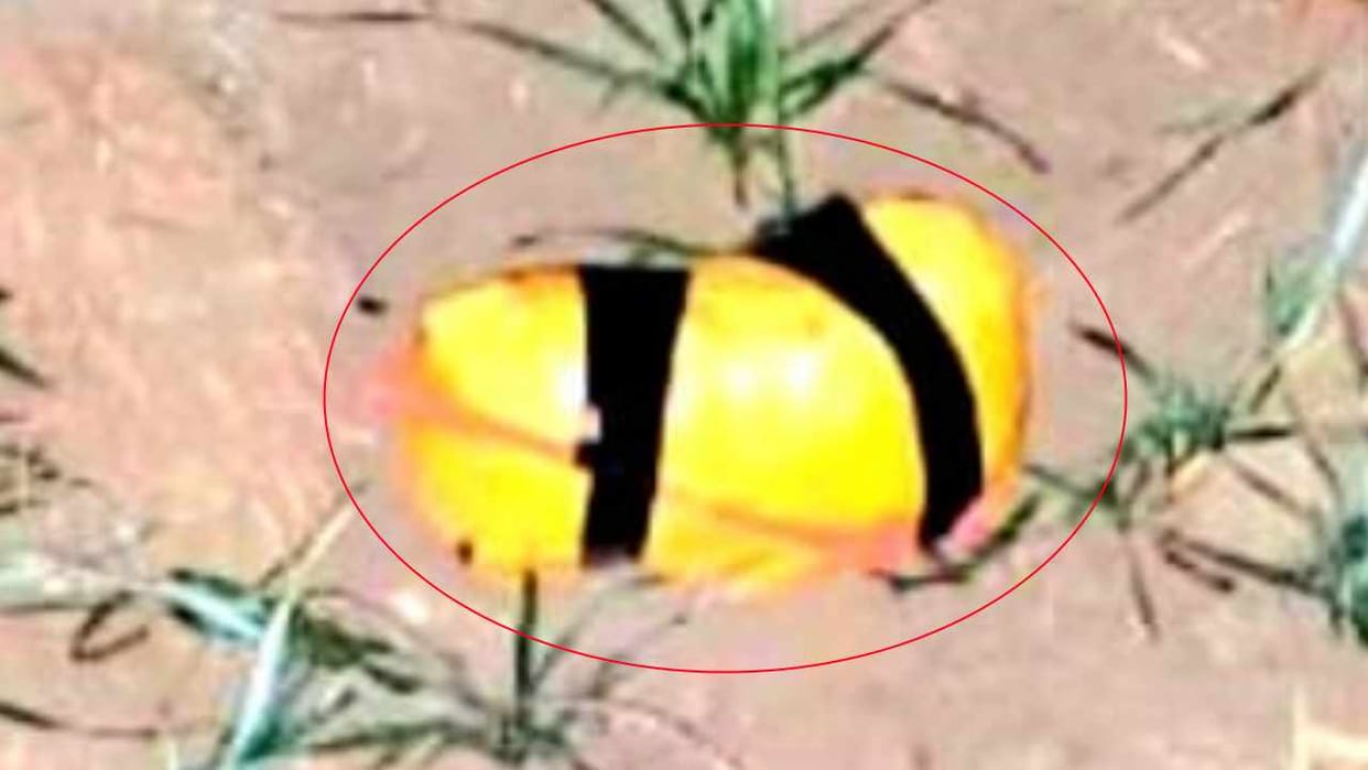 Pakistani drone throws heroin consignment into Indian border
