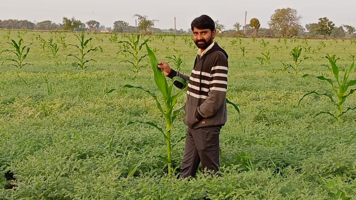 Special on Farmer's Day: Highly educated youth are changing the definition and methods of farming.