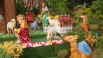 Christmas 2023 prayers offered in Bhojpuri in churches with preparations for Christmas in varanasi