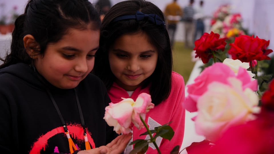 Winter show organized in Rose Garden for rose lovers