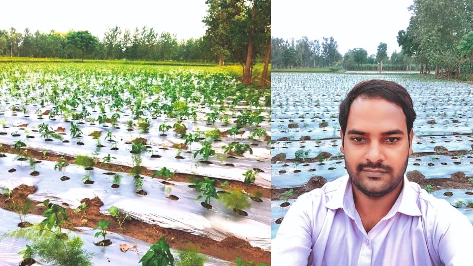 Engineer Sompal becoming rich from organic farming in Bareilly