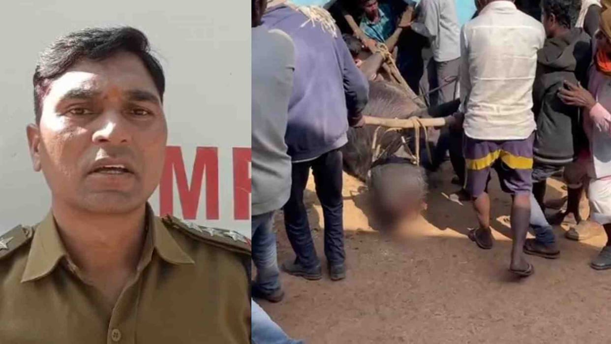 31 bombs found buried in the ground for hunting animals